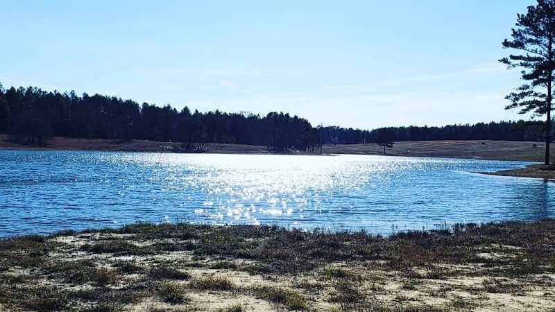 H COOPER BLACK PARK - Society Hill, SC