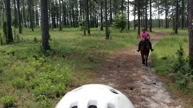 H COOPER BLACK PARK - Society Hill, SC
