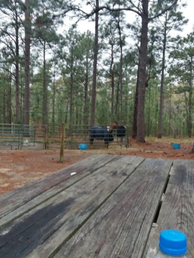 H COOPER BLACK PARK - Society Hill, SC