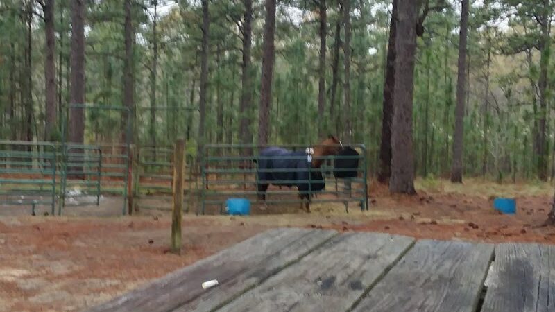 H COOPER BLACK PARK - Society Hill, SC