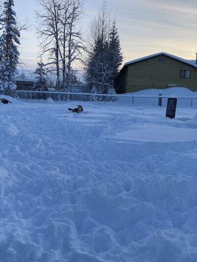 3 Friends Dog Park - Soldotna, AK