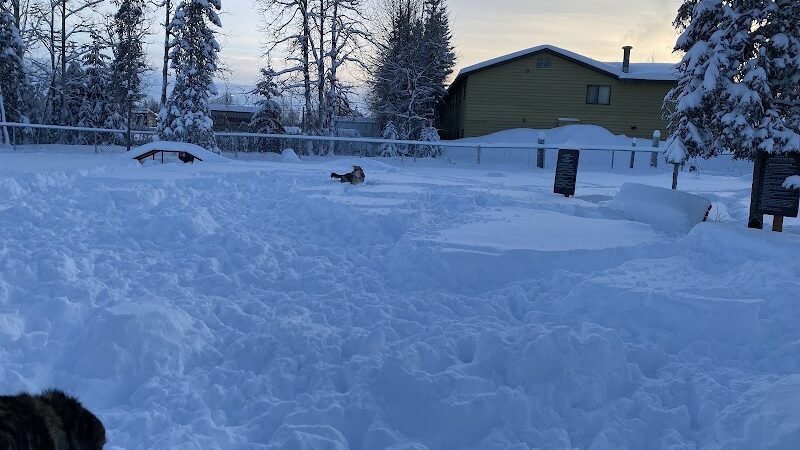3 Friends Dog Park - Soldotna, AK