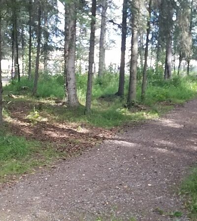 3 Friends Dog Park - Soldotna, AK