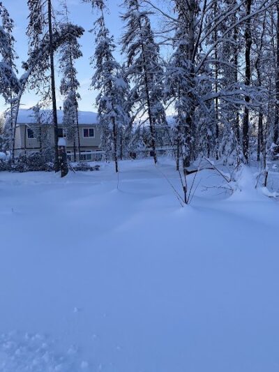 3 Friends Dog Park - Soldotna, AK