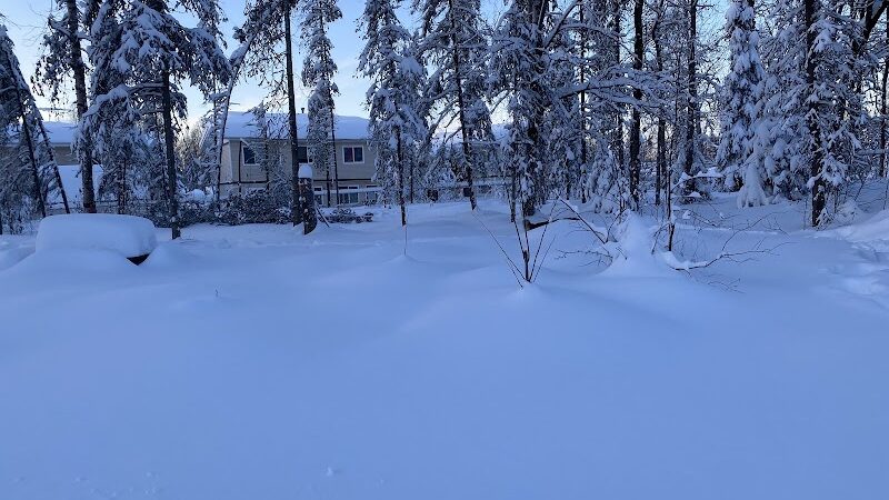 3 Friends Dog Park - Soldotna, AK