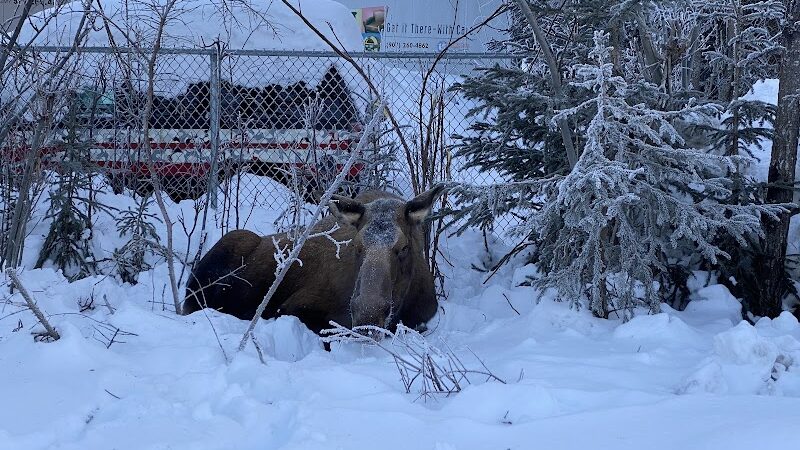 3 Friends Dog Park - Soldotna, AK