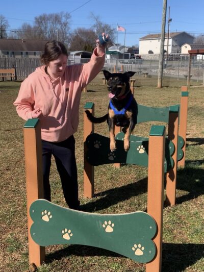 Huffaker's Willow Dog Park - Somerset, KY
