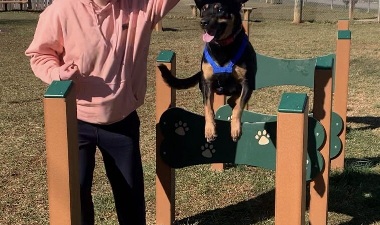 Huffaker's Willow Dog Park - Somerset, KY