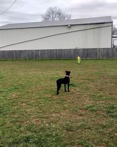 Huffaker's Willow Dog Park - Somerset, KY