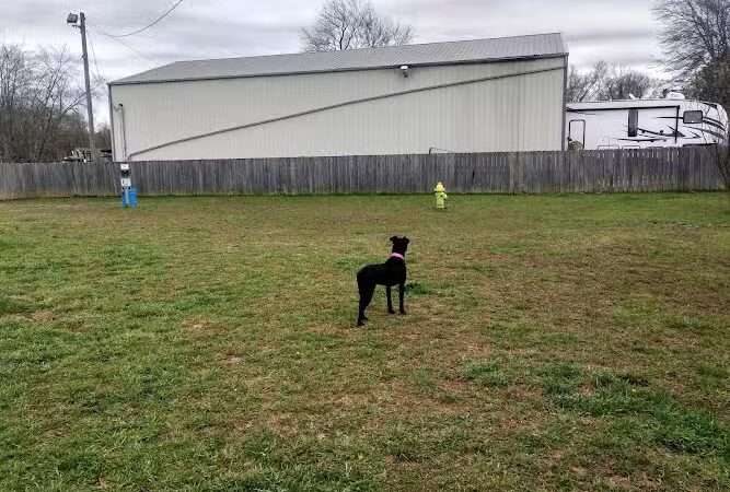 Huffaker's Willow Dog Park - Somerset, KY