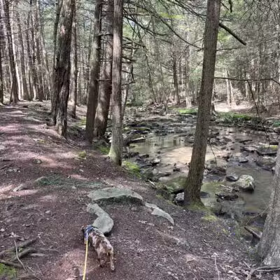 Kimberly Run Natural Area - Somerset, PA