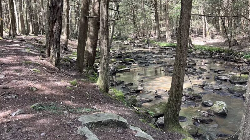 Kimberly Run Natural Area - Somerset, PA