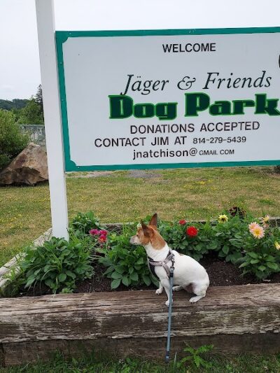 Jager and Friends Dog Park - Somerset, PA