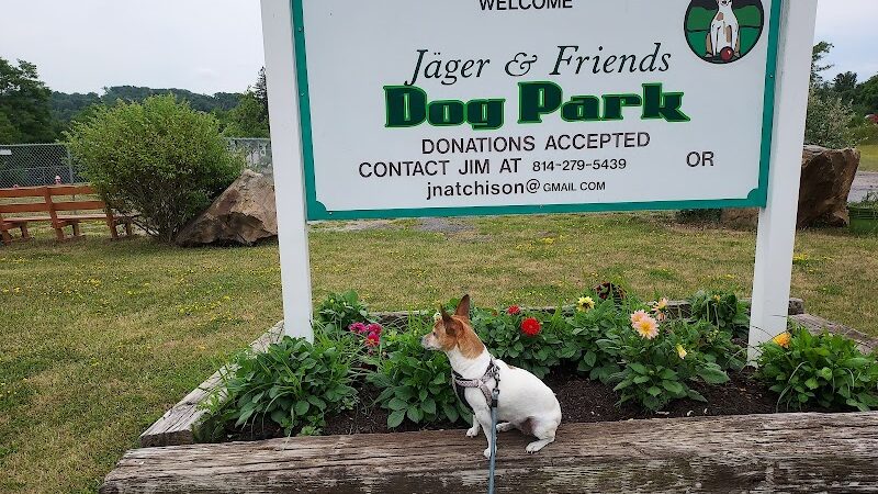 Jager and Friends Dog Park - Somerset, PA