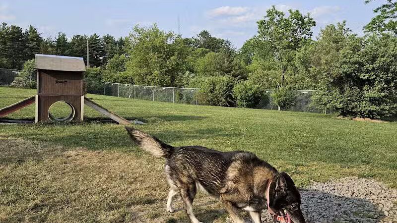 Jager and Friends Dog Park - Somerset, PA