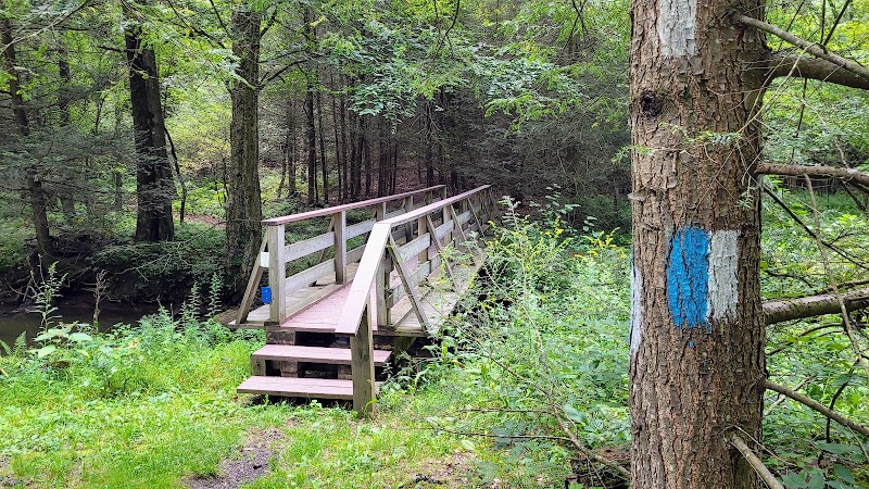 Kimberly Run Natural Area - Somerset, PA