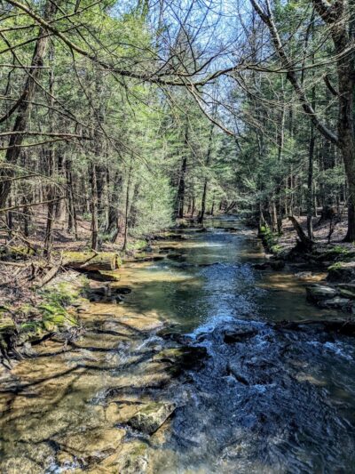 Kimberly Run Natural Area - Somerset, PA