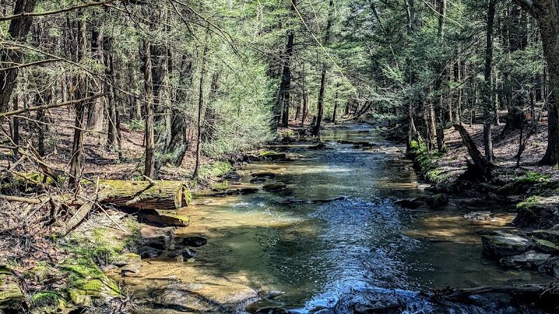 Kimberly Run Natural Area - Somerset, PA