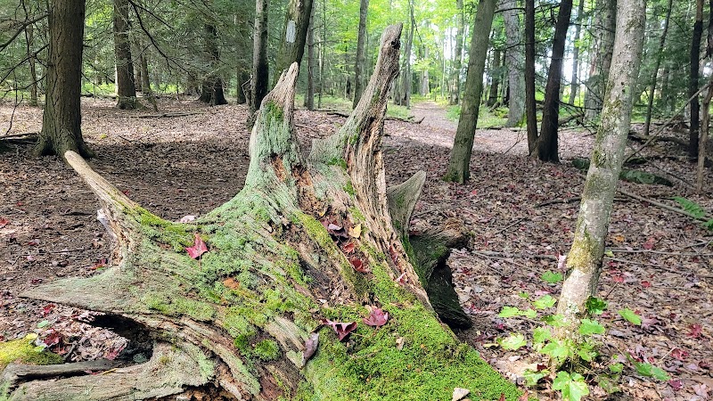 Kimberly Run Natural Area - Somerset, PA