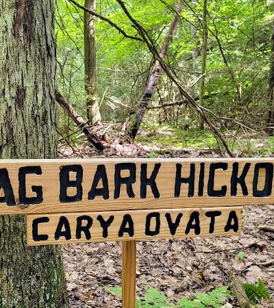 Kimberly Run Natural Area - Somerset, PA