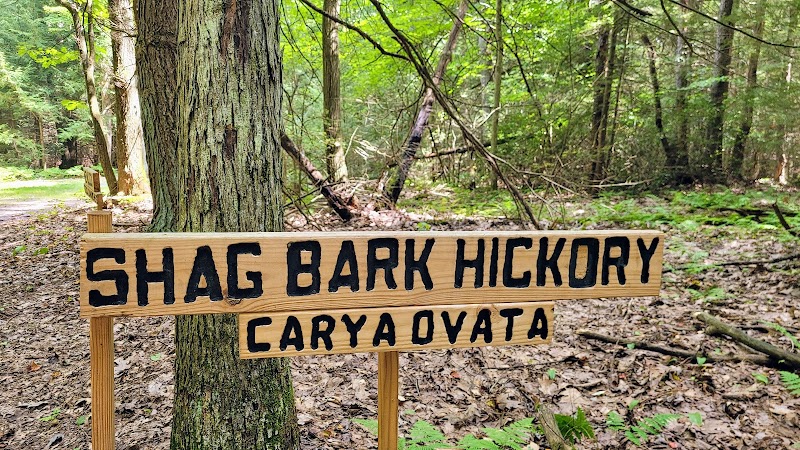 Kimberly Run Natural Area - Somerset, PA