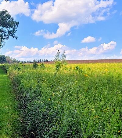 Kimberly Run Natural Area - Somerset, PA