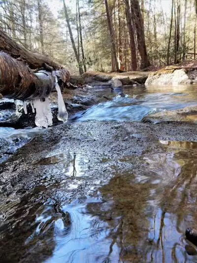Kimberly Run Natural Area - Somerset, PA