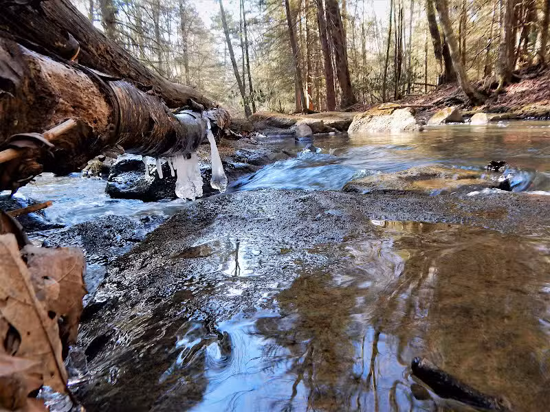 Kimberly Run Natural Area - Somerset, PA
