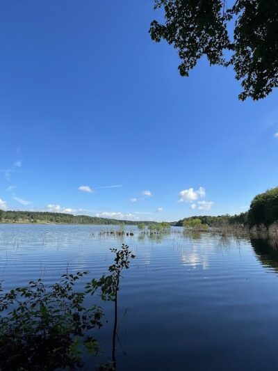Somerset Lake Nature Park - Somerset, PA
