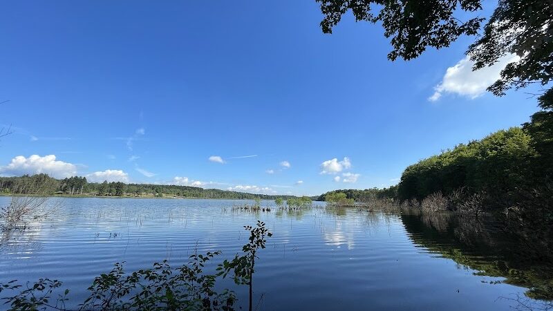 Somerset Lake Nature Park - Somerset, PA