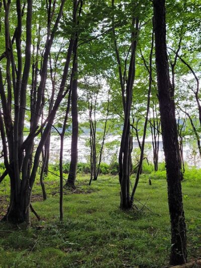 Somerset Lake Nature Park - Somerset, PA