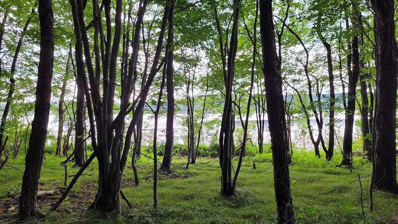 Somerset Lake Nature Park - Somerset, PA