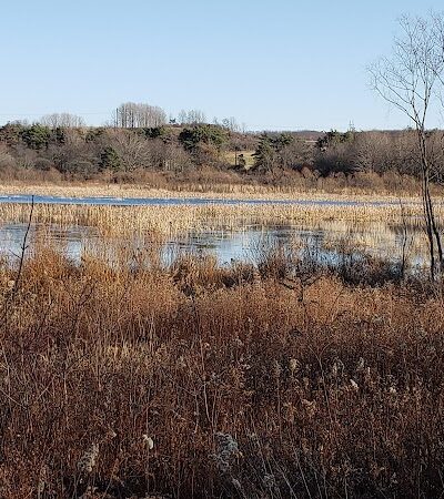 Somerset Lake Nature Park - Somerset, PA