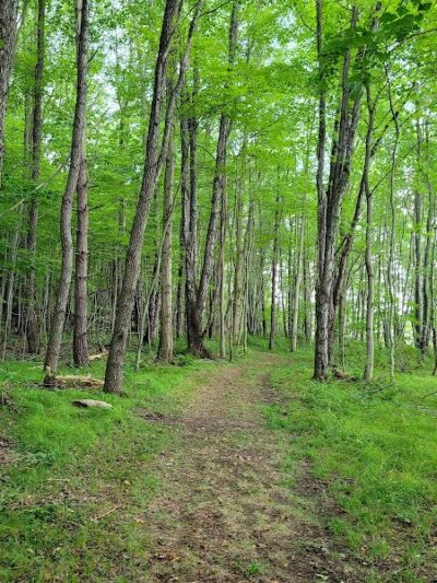 Somerset Lake Nature Park - Somerset, PA