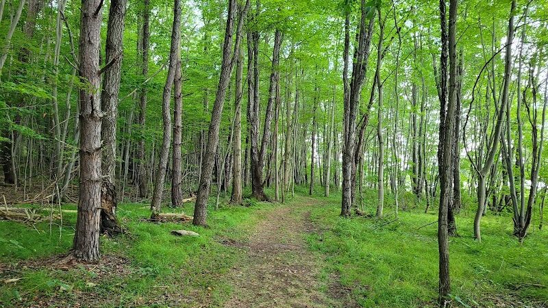 Somerset Lake Nature Park - Somerset, PA