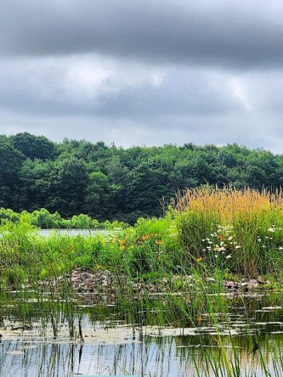 Somerset Lake Nature Park - Somerset, PA