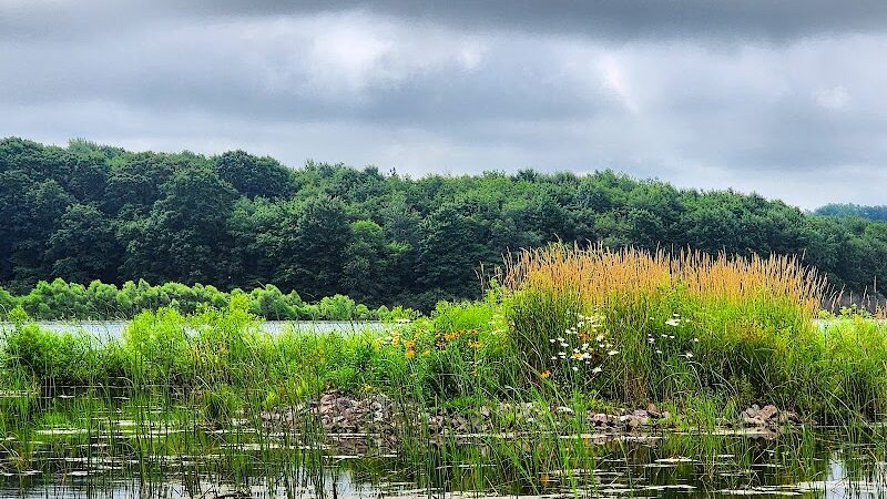 Somerset Lake Nature Park - Somerset, PA