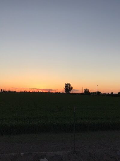 Perricone Park - Somerton, AZ