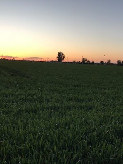 Perricone Park - Somerton, AZ