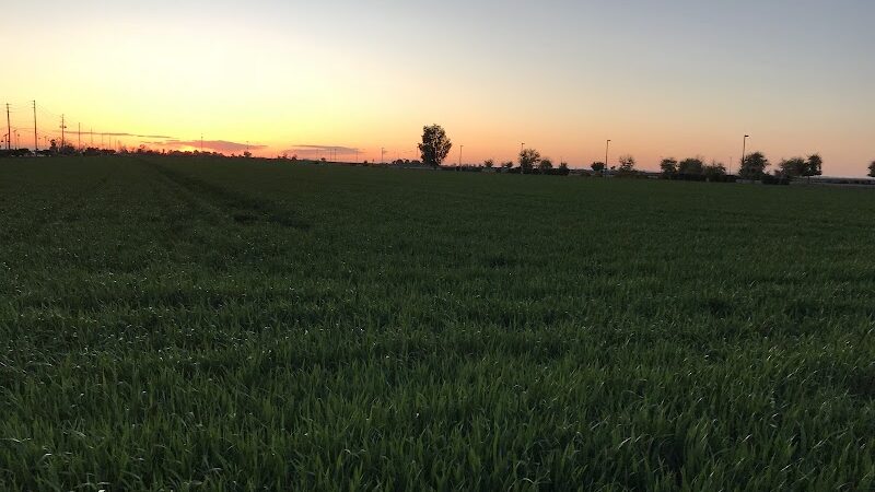 Perricone Park - Somerton, AZ