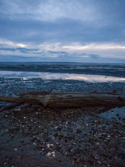 Bay Center / Willapa Bay KOA Holiday