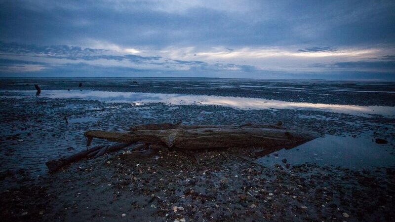 Bay Center / Willapa Bay KOA Holiday