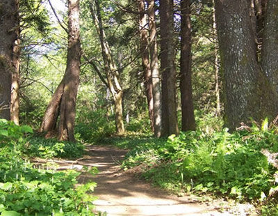 Bay Center / Willapa Bay KOA Holiday