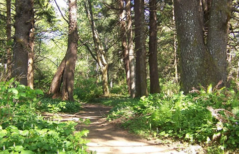 Bay Center / Willapa Bay KOA Holiday