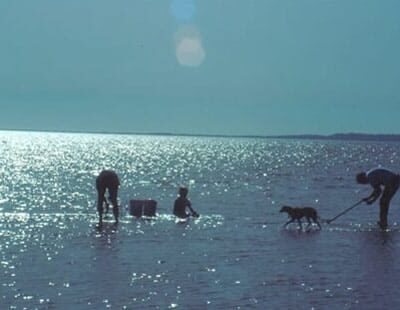 Bay Center / Willapa Bay KOA Holiday