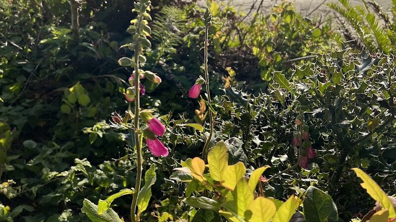 Bay Center / Willapa Bay KOA Holiday