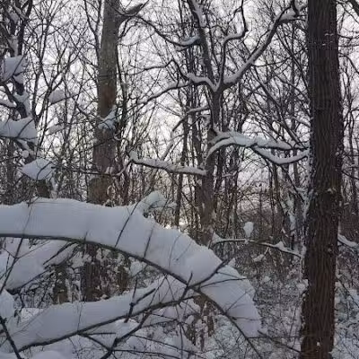 South Bethlehem Park - South Bethlehem, NY