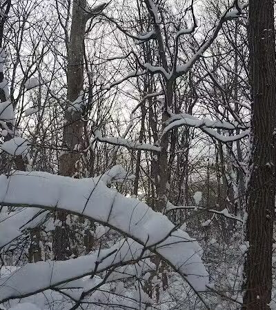 South Bethlehem Park - South Bethlehem, NY