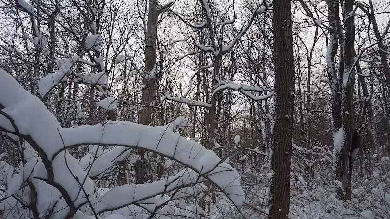 South Bethlehem Park - South Bethlehem, NY