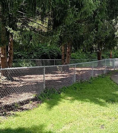 Joplin Dog Park - South Charleston, WV